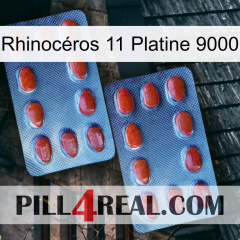 Rhinocéros 11 Platine 9000 05